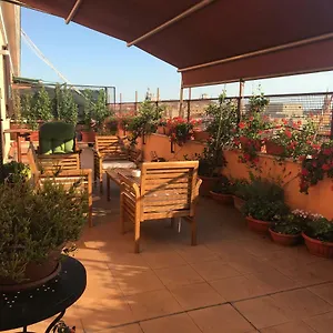 La Terrazza Di Evelina Affittacamere Roma